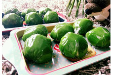 清明時節(jié)吃什么美食？全國各地18種清明美食大集合（多圖）